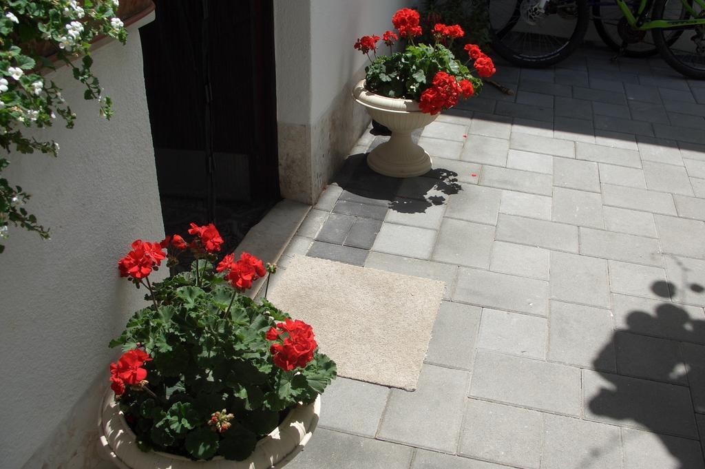 Apartment Vesna Ζαντάρ Δωμάτιο φωτογραφία